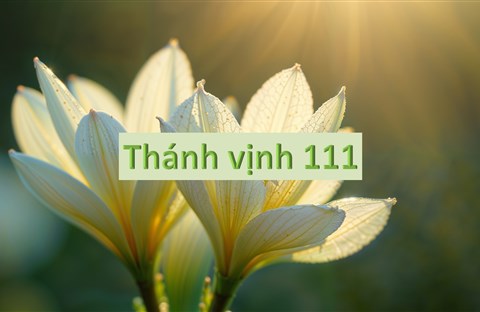 Thánh Vịnh 111 - Xuân Thảo