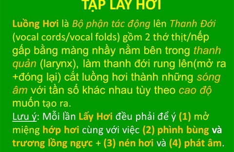 💖TN1: 1. Tập Lấy Hơi 🎵Phần A: MLT căn bản (MKĐ+MPA)