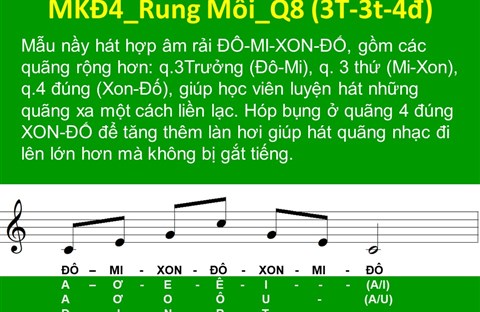 TN1: 11. MKĐ4_Rung Môi_Q8 🎵Phần A: MLT căn bản (MKĐ+MPA)