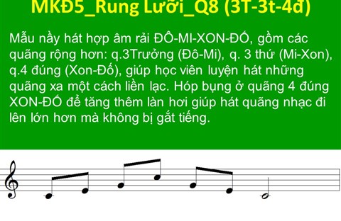 TN1: 12. MKĐ5_Rung Lưỡi_Q8 🎵Phần A: MLT căn bản (MKĐ+MPA)