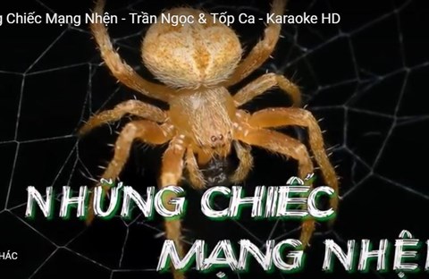 Karaoke NHỮNG CHIẾC MẠNG NHỆN (MC)